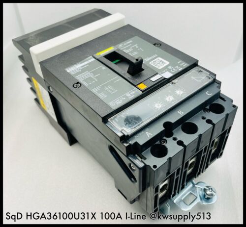 100A Circuit Breaker-HGA36100U31X