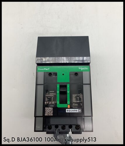 100A Circuit Breaker-BJA36100