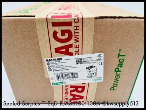 100A Circuit Breaker-BJA36100