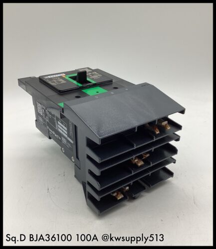 100A Circuit Breaker-BJA36100