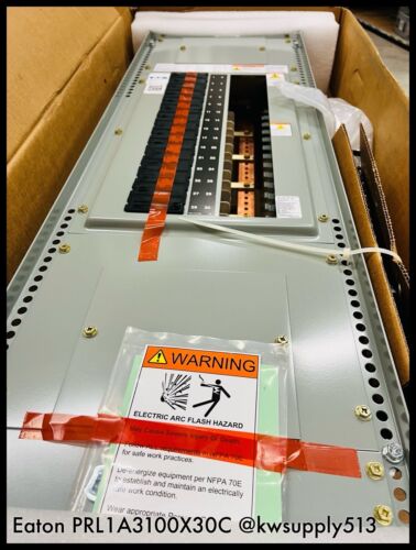 100A Panelboard Interior-PRL1A3100X30C