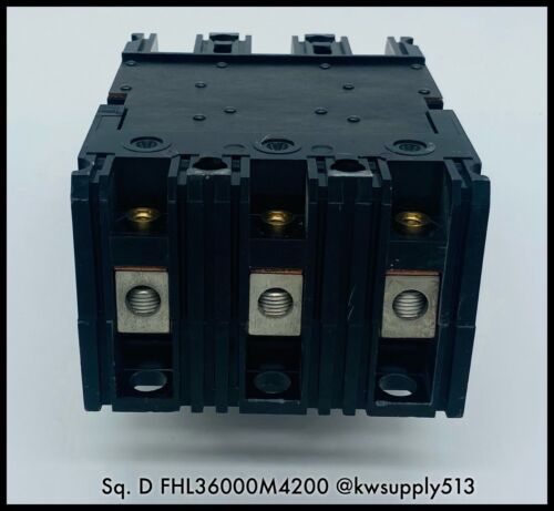 100A Circuit Breaker-FHL36000M4200