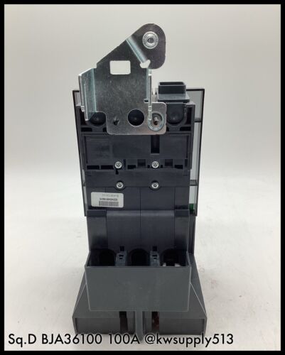 100A Circuit Breaker-BJA36100