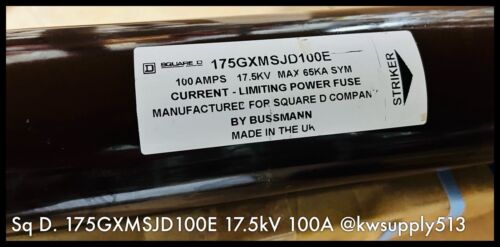 100A Fuse-175GXMSJD100E
