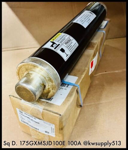 100A Fuse-175GXMSJD100E