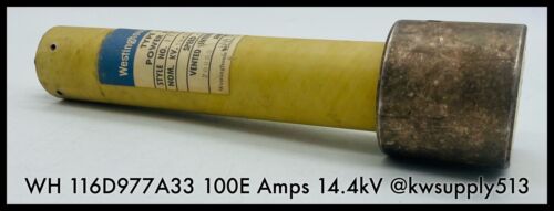 100A Fuse-116D977A33