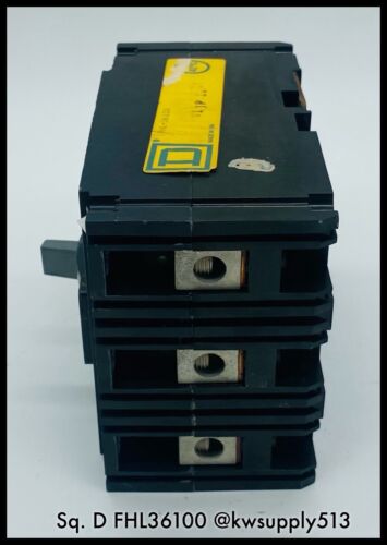 100 A Circuit Breaker-FHL36100