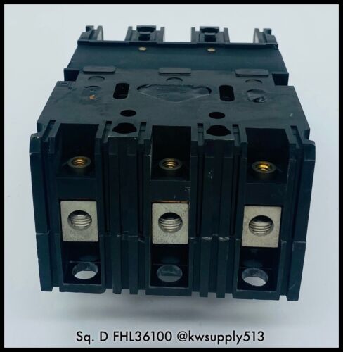 100 A Circuit Breaker-FHL36100
