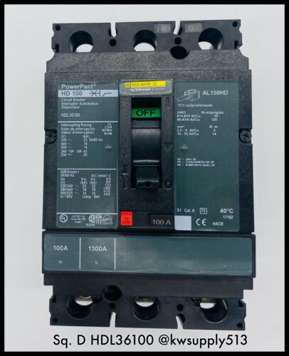 100A Circuit Breaker-HDL36100