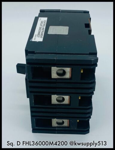 100A Circuit Breaker-FHL36000M4200