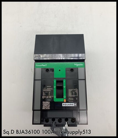 100A Circuit Breaker-BJA36100