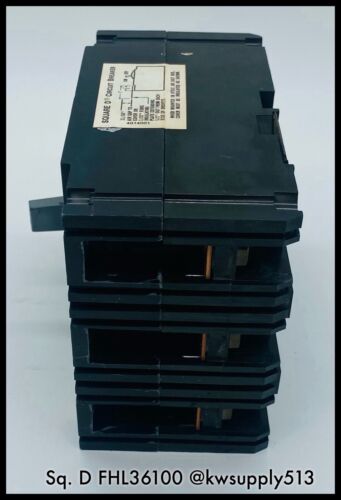 100 A Circuit Breaker-FHL36100